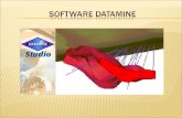 DATAMINE es el lider mundial en Software Integrado para la industria de los recursos naturales, con más de 1000 sistemas en diario uso en más de 45.