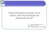 L. Gonzalo Navarrete. M Alcalde Lo Prado Pte. Comisión de Salud AChM “Determinantes Sociales de la salud. Una Herramienta de desarrollo local”