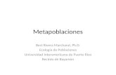 Metapoblaciones Bert Rivera Marchand, Ph.D. Ecología de Poblaciones Universidad Interamericana de Puerto Rico Recinto de Bayamón.