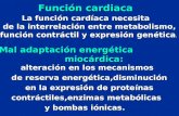Función cardiaca La función cardíaca necesita La función cardíaca necesita de la interrelación entre metabolismo, función contráctil y expresión genética.