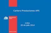 Cartera Prestaciones APS CIRA 25 de julio 2014. Gobierno de Chile / Ministerio de Salud Financiamiento Ley 19.378, art. 49. Las entidades administradoras.