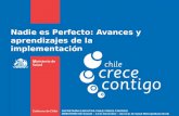 Nadie es Perfecto: Avances y aprendizajes de la implementación SECRETARÍA EJECUTIVA CHILE CRECE CONTIGO MINISTERIO DE SALUD – 14 de Diciembre – Servicio.