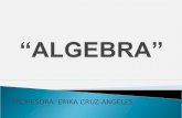 PROFESORA: ERIKA CRUZ ANGELES. LA MATERIA DE ALGEBRA ES UNA DE LAS MATERIAS QUE SE IMPARTEN EN EL COLEGIO DE ESTUDIOS CIENTIFICOS Y TECNOLOGICOS DE ESTADO.