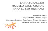 Presentador/es Capacitador: Ulberto Lugo Maestras: Carmen Rodríguez, Emma Mercado Escuela: Luis Muñoz Rivera.