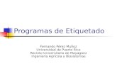 Programas de Etiquetado Fernando Pérez Muñoz Universidad de Puerto Rico Recinto Universitario de Mayagüez Ingeniería Agrícola y Biosistemas.