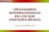 1 ORGANISMOS INTERNACIONALES EN LOS QUE PARTICIPA MÉXICO MTRA. DELFINA SÁNCHEZ VALLE.