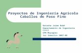 Proyectos de Ingeniería Agrícola Caballos de Paso Fino Natasha Jaime Bobé Departamento de Ingeniería Civil UPR-Mayagüez 1er Semestre 2007-08.