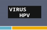 VIRUS HPV. DefiniciónClasificación Factores de Riesgo Clínica Tratamiento Prevención.