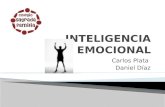 Carlos Plata Daniel Díaz.  Es la capacidad de reconocer sentimientos propios y ajenos.  Video ( Daniel Goleman) Video.