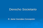 Derecho Societario R. Javier Gonzáles Concepción.