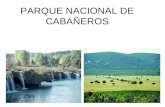 PARQUE NACIONAL DE CABAÑEROS. LOCALIZACIÓN El parque nacional de Cabañeros està situado en Castilla La Mancha, entre las provincias de Ciudad Real y Toledo.