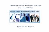 FATLA Programa de Expertos en Procesos Elearning Módulo 10- EPE032010 Exposición del Proyecto.
