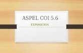 ASPEL COI 5.6 EXPOSICION. CONCEPTO Procesa, integra y mantiene actualizada la información contable y fiscal de la empresa en forma segura y confiable.