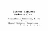 Bienes Comunes Universales. Consultoría Ambiental, S. de R. L. Ciudad Victoria, Tamaulipas M é x i c o.