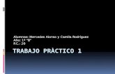 Alumnas: Mercedes Alonso y Camila Rodríguez Año: 1º “B” P.C.: 20.