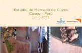 Estudio de Mercado de Cuyes Cusco – Perú Junio 2009.