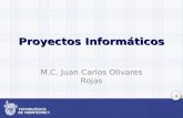 1 Proyectos Informáticos M.C. Juan Carlos Olivares Rojas.