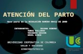 UNIVERSIDAD COOPERATIVA DE COLOMBIA SALUD Y SOCIEDAD GINECOBSTETRICIA INTEGRANTES: DAYANA ROMERO TOMAS PALLARES YESSENIA GASCON URIEL OJEDA.
