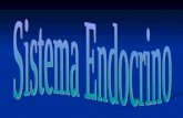 El sistema endocrino está formado por todos aquellos órganos que se encargan de producir y secretar sustancias, denominadas hormonas, hacia al torrente.