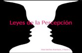Leyes de la Percepción Clara Salcines Aramburu, 1ºbach-C.