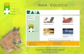 RAIA - ÉQUIDOS Presentar solicitud para obtener claves de acceso.