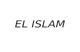 EL ISLAM. Cálamos de caña empleados en caligrafía árabe.