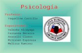 Psicología Profesor: Yaqueline Castillo Expositores: Valezka Alcayaga Fernanda Becerra Aracelli Claros Milissen Espinoza Melissa Ramírez.