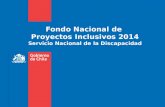 Fondo Nacional de Proyectos Inclusivos 2014 Servicio Nacional de la Discapacidad.