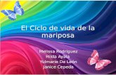 El Ciclo de vida de la mariposa Melissa Rodríguez Hilda Ayala Yulmarie De León Janice Cepeda.