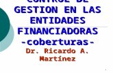 1 CONTROL DE GESTION EN LAS ENTIDADES FINANCIADORAS -coberturas- Dr. Ricardo A. Martínez.