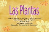 Capacitador: Brenda L. Vélez Ramos Maestro/s: Ana Delgado Nivel: K-3 Materia: Ciencias Escuela: Nemesio R. Canales I.