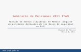 Www.cnsf.gob.mx Seminario de Pensiones 2011 ITAM Mercado de rentas vitalicias en México (Seguros de pensiones derivados de las leyes de seguridad social)