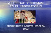 SEGURIDAD Y NORMAS EN EL LABORATORIO EDSION DAVID ACOSTA HERRERA 1002.