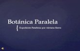 { Botánica Paralela Expedición Patafísica por Adriana Sierra.