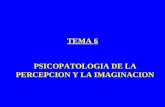 TEMA 6 PSICOPATOLOGIA DE LA PERCEPCION Y LA IMAGINACION.