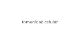 Inmunidad celular. Generalidades La inmunidad celular (IC) es la respuesta específica donde intervienen los LT en la destrucción de agentes patógenos,
