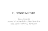 EL CONOCIMIENTO Conocimiento sensorial,racional,científico,filosòfico. Doc. Carmen Olivera de Rivera.