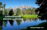 Comunicación afectiva y efectiva oasisgonzalogallo.com.
