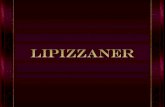 Lipizzan o Lipizzaner es una raza de caballo que según los primeros estudios, tiene su origen en la Aldea de Lipica cerca de Kras en la actual Eslovenia.