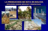LA PRODUCCION DE SOYA EN BOLIVIA EVOLUCION, CAUSAS, IMPACTOS Y PERSPECTIVAS.