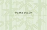 Percepción. Definición de percepción. Es el conjunto de procesos que nos permiten reconocer, organizar y dar sentido a las sensaciones que recibimos de.
