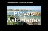 Playas Asturianas La Playa de Anguileiro o Playa de Tapia de Casariego.