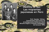 Destino el Sur. Las migrantes Japonesas en Perú Prof. Haydee Vílchez Coordinadora del Centro de Investigaciones Históricas Mario Briceño Iragorry Instituto.