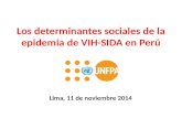 Los determinantes sociales de la epidemia de VIH-SIDA en Perú Lima, 11 de noviembre 2014.