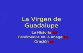 La Virgen de Guadalupe La Historia Fenómenos en la Imagen Oración.