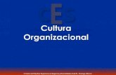 Qué es la cultura organizacional? Es el conjunto de valores (lo que es importante), creencias (como funcionan las cosas) y pensamientos (las creencias.