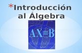 Introducción al Álgebra En las civilizaciones antiguas se escribían las expresiones algebraicas utilizando abreviaturas sólo ocasionalmente; sin embargo,