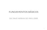 FUNDAMENTOS BÁSICOS SGC BAJO NORMA ISO 9001:2008 1.