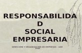 RESPONSABILIDAD SOCIAL EMPRESARIA DIRECCIÓN Y ORGANIZACIÓN DE EMPRESAS - UDE 2009.