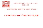UNIVERSIDAD DEL VALLE DE MÉXICO COMUNICACIÓN CELULAR DIVISIÓN DE CIENCIAS DE LA SALUD.